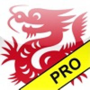  Dragon Scribe Pro (2009). Нажмите, чтобы увеличить.