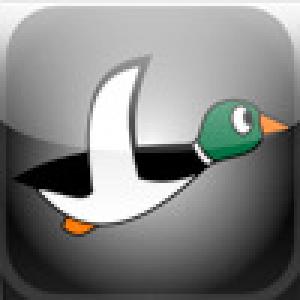  Duck Hunting (2008). Нажмите, чтобы увеличить.