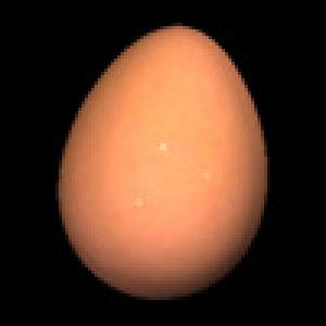  EggTivity (2009). Нажмите, чтобы увеличить.