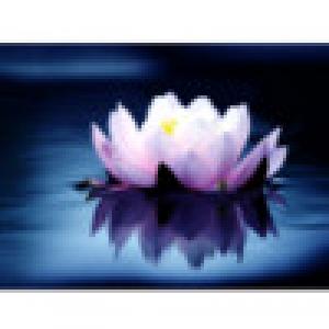  e-Mobile Liquid Surface (2009). Нажмите, чтобы увеличить.