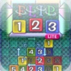  FLIP123LITE (2010). Нажмите, чтобы увеличить.