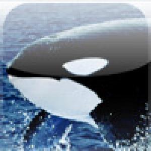  Feed Killer (2009). Нажмите, чтобы увеличить.