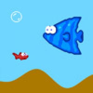  Fish Dish (2009). Нажмите, чтобы увеличить.