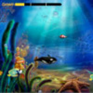  Fish Kindom (2009). Нажмите, чтобы увеличить.