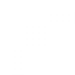  Flashlite (2009). Нажмите, чтобы увеличить.