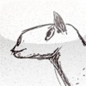  Fleece-D (2010). Нажмите, чтобы увеличить.