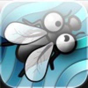  Fly Control (2009). Нажмите, чтобы увеличить.