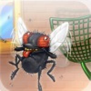  Fly Killer (2010). Нажмите, чтобы увеличить.