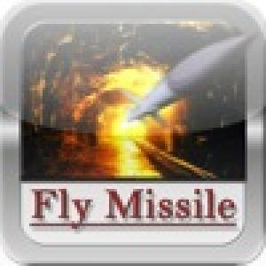 Fly Missile (2010). Нажмите, чтобы увеличить.