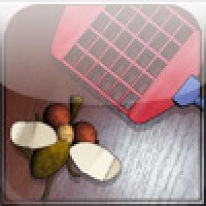  FlyAttack (2009). Нажмите, чтобы увеличить.