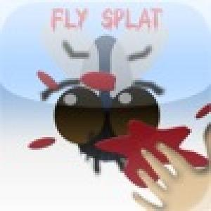  FlySplat (2010). Нажмите, чтобы увеличить.