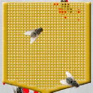  Flyswatter (2009). Нажмите, чтобы увеличить.