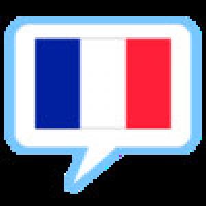 French Phrasebook (2009). Нажмите, чтобы увеличить.