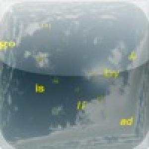  Fugu Type (2010). Нажмите, чтобы увеличить.