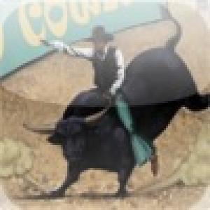  GoCowboy (2010). Нажмите, чтобы увеличить.