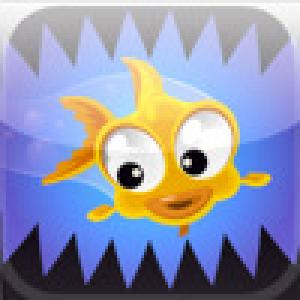  Goldfin (2009). Нажмите, чтобы увеличить.