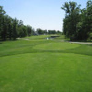  Golf Tournament (2010). Нажмите, чтобы увеличить.