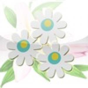  Happy Flower (2009). Нажмите, чтобы увеличить.