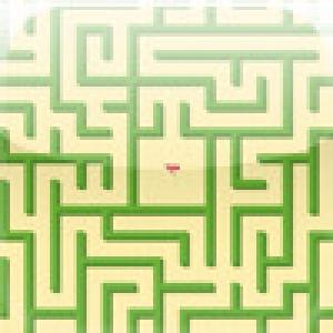  Hedge Maze Deluxe (2009). Нажмите, чтобы увеличить.