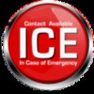  ICE (2009). Нажмите, чтобы увеличить.