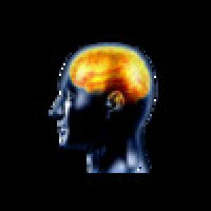  IntelliLaunch (2009). Нажмите, чтобы увеличить.