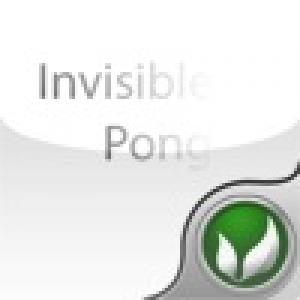  Invisible Pong (2010). Нажмите, чтобы увеличить.