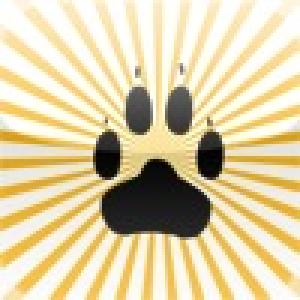  iPoke the Hibernating Bear (2010). Нажмите, чтобы увеличить.