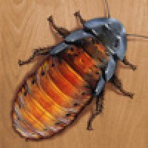  iRoach (2009). Нажмите, чтобы увеличить.