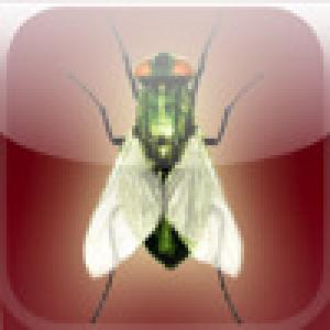  iSwatFlies (2009). Нажмите, чтобы увеличить.