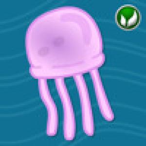  Jellyfish Jam (2010). Нажмите, чтобы увеличить.