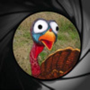  Jive Turkey Shoot (2009). Нажмите, чтобы увеличить.