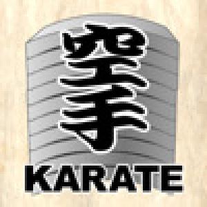  KARATE champion (2009). Нажмите, чтобы увеличить.