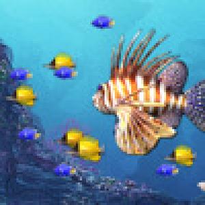  King Fish (2009). Нажмите, чтобы увеличить.