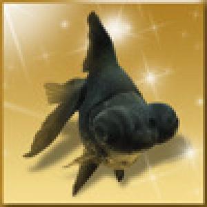  kingyosukuiBLACK (2010). Нажмите, чтобы увеличить.