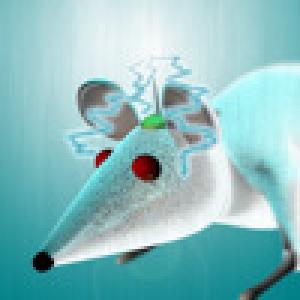  Lab Rat (2009). Нажмите, чтобы увеличить.