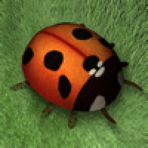  Ladybug Dreams (2009). Нажмите, чтобы увеличить.