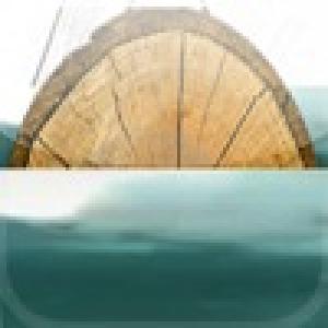  Log Runner (2010). Нажмите, чтобы увеличить.