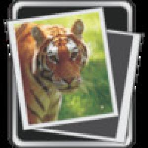  MiaWallpaper (2009). Нажмите, чтобы увеличить.