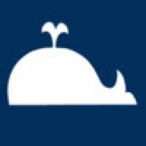  MobyQuote (2009). Нажмите, чтобы увеличить.