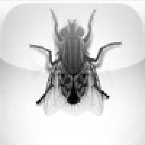  Monster Fly (2010). Нажмите, чтобы увеличить.