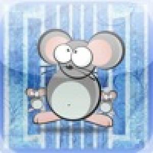  Mouse Escape (2010). Нажмите, чтобы увеличить.