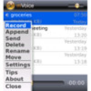  mVoice (2009). Нажмите, чтобы увеличить.