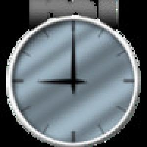  miTimesheet (2009). Нажмите, чтобы увеличить.