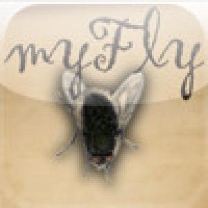  myFly (2009). Нажмите, чтобы увеличить.