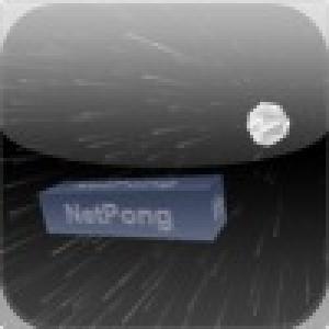  NetPong (2010). Нажмите, чтобы увеличить.