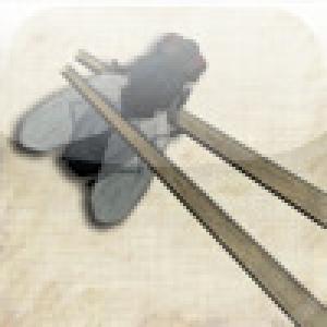  Ninja Flies (2009). Нажмите, чтобы увеличить.