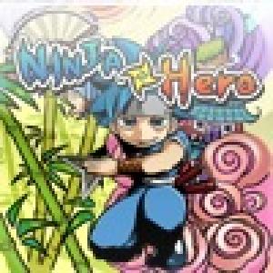  Ninja Hero (2009). Нажмите, чтобы увеличить.