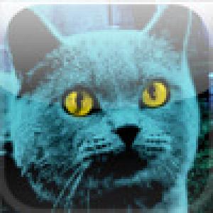  PET SEMATARY (2009). Нажмите, чтобы увеличить.