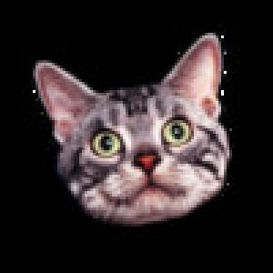  Pets Calendar (2009). Нажмите, чтобы увеличить.