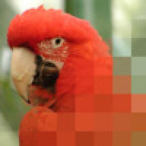  PhotoMadness (2009). Нажмите, чтобы увеличить.